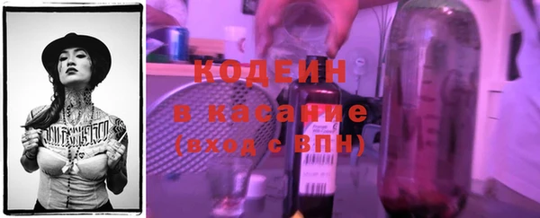 индика Балабаново