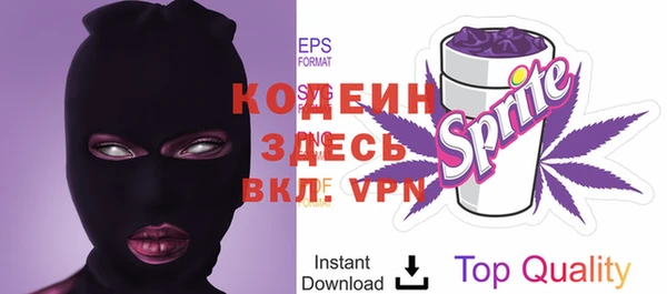 индика Балабаново