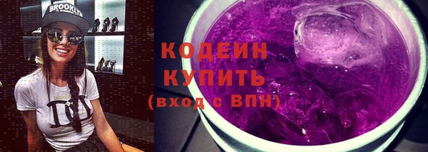 индика Балабаново