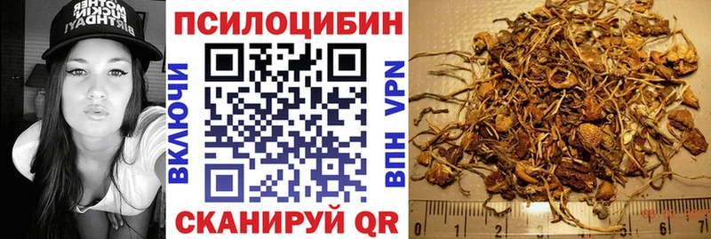 Галлюциногенные грибы Magic Shrooms  Купить где  Славгород 